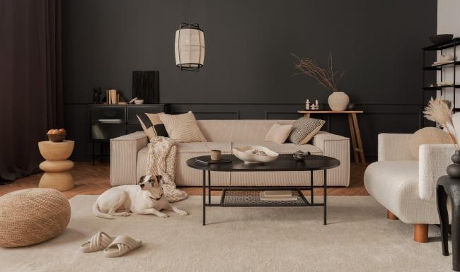 a dog lying on the floor in a living room