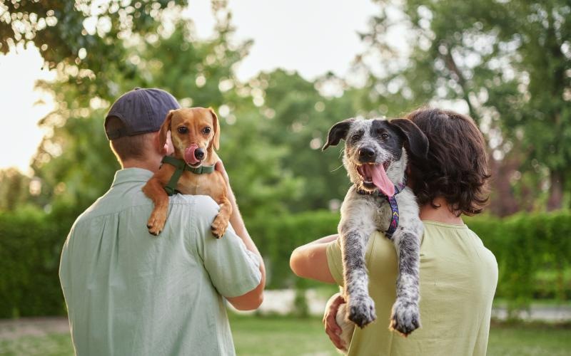 a person holding a dog