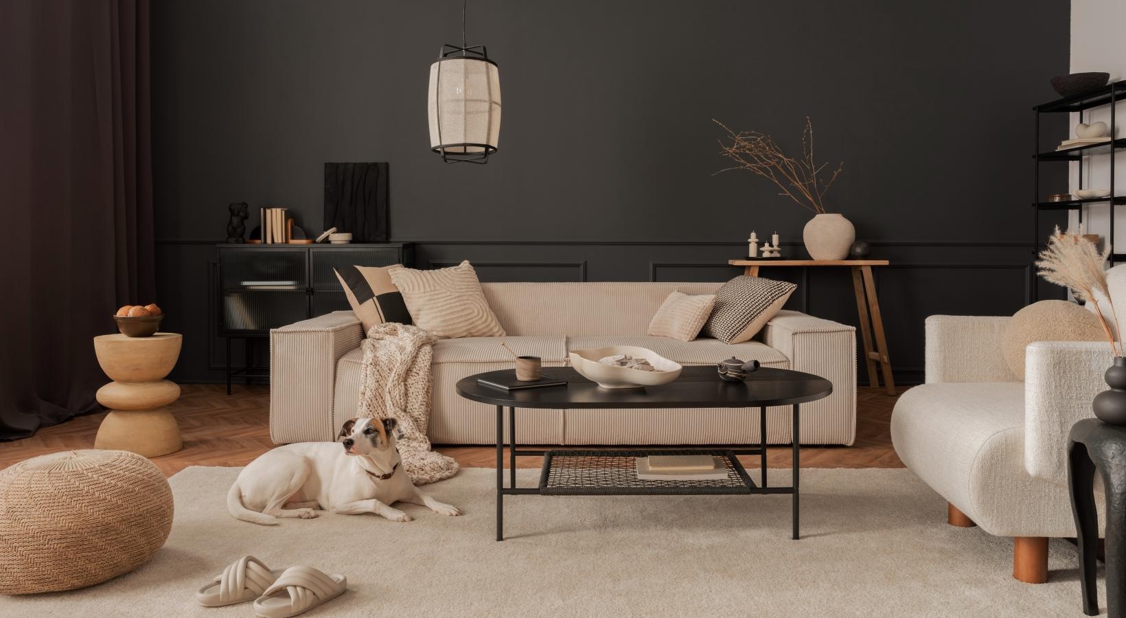 a dog lying on the floor in a living room